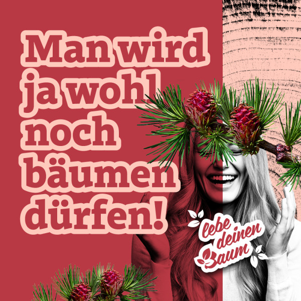 Lebe deinen Baum - Baumpflanzevent